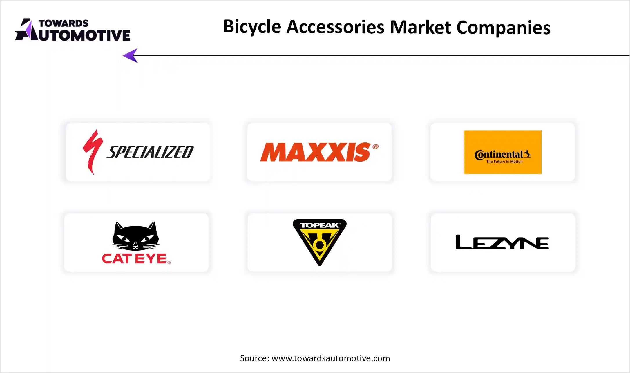 Bicycle Accessories Market Top Key Players
